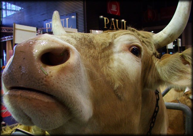 All photos copyright &copy; Eric Francis. All rights reserved.