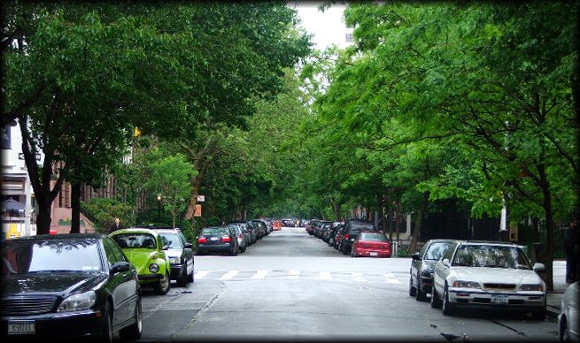 All photos copyright &copy; Eric Francis. All rights reserved.