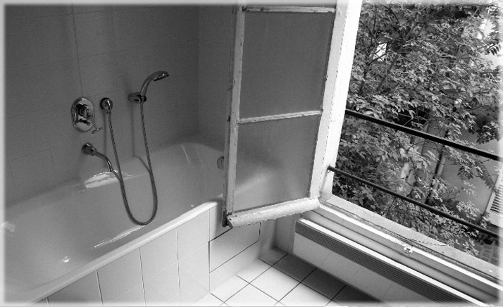 All photos copyright &copy; Eric Francis. All rights reserved.