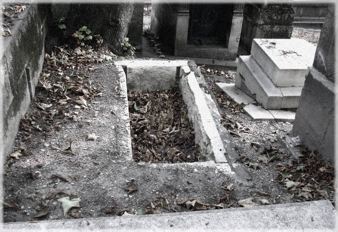 All photos copyright &copy; Eric Francis. All rights reserved.