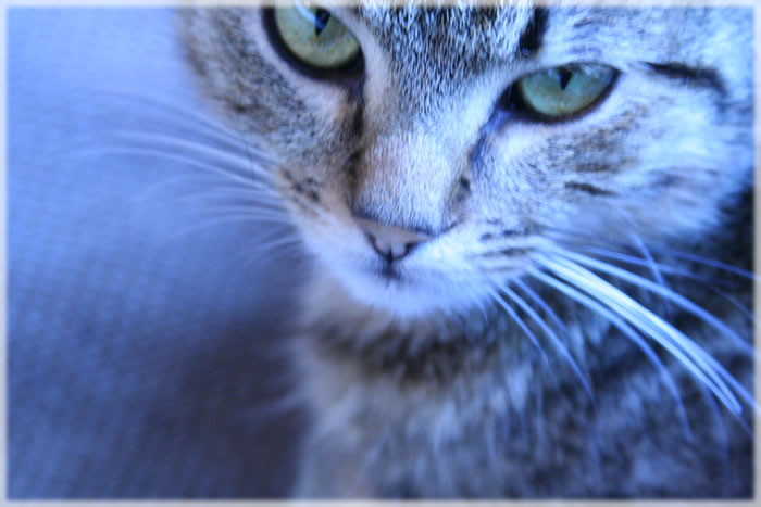 All photos copyright &copy; Eric Francis. All rights reserved.