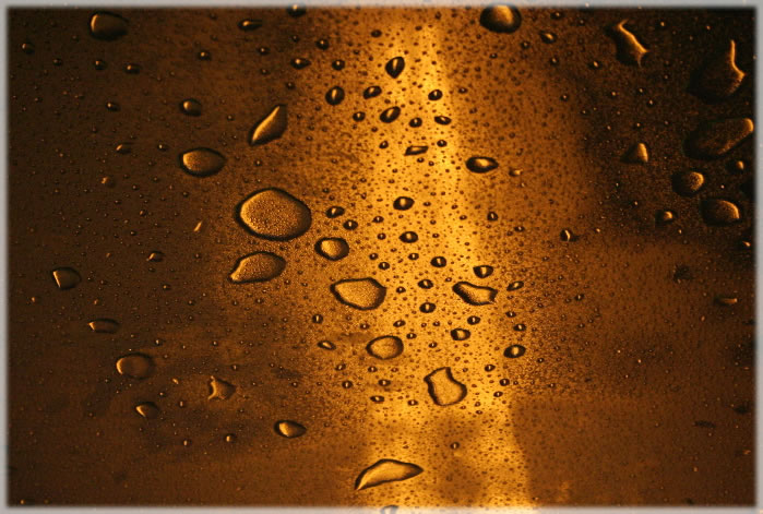 All photos copyright &copy; Eric Francis. All rights reserved.