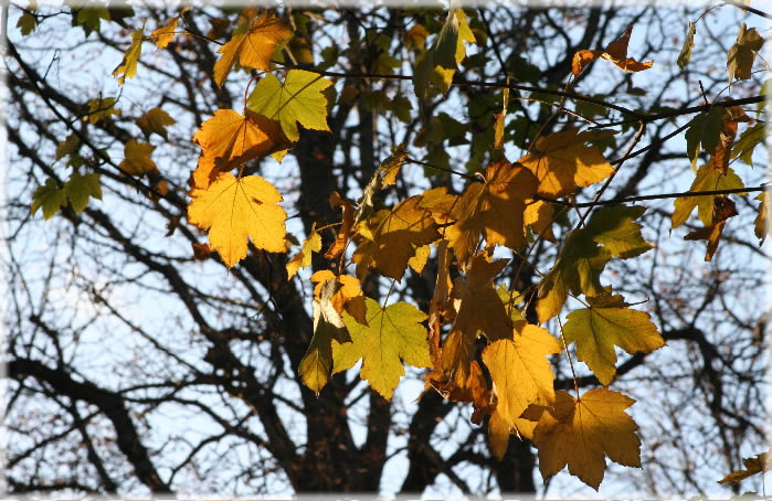 All photos copyright &copy; Eric Francis. All rights reserved.