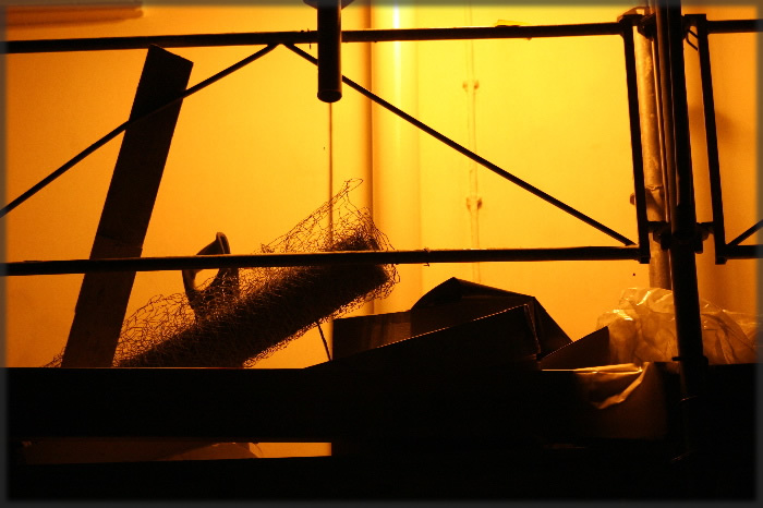 All photos copyright © Eric Francis. All rights reserved.