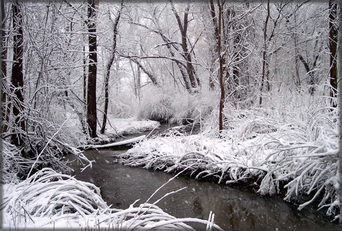 All photos copyright &copy; Eric Francis. All rights reserved.