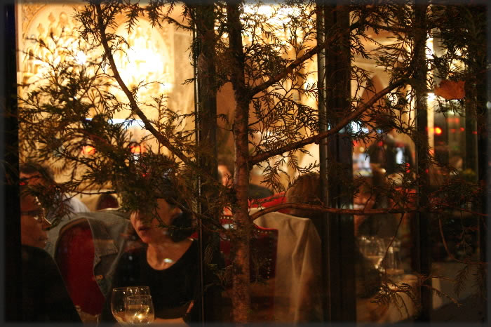 All photos copyright &copy; Eric Francis. All rights reserved.