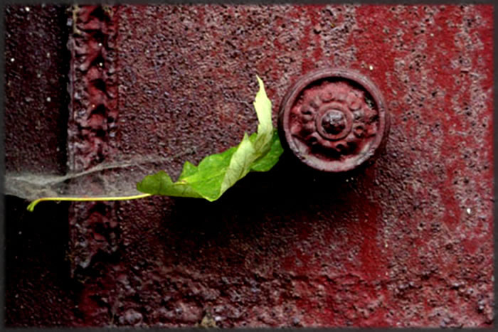 All photos copyright &copy; Eric Francis. All rights reserved.