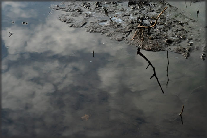 All photos copyright &copy; Eric Francis. All rights reserved.