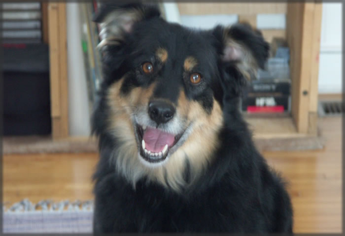 All photos copyright &copy; Eric Francis. All rights reserved.