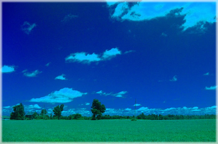 All photos copyright &copy; Eric Francis. All rights reserved.