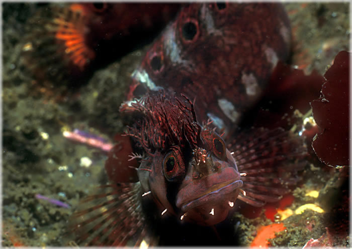 All photos copyright &copy; Eric Francis. All rights reserved.