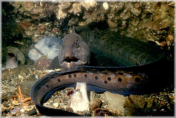 All photos copyright &copy; Eric Francis. All rights reserved.