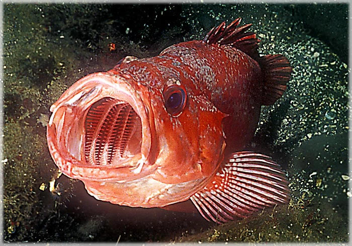 All photos copyright &copy; Eric Francis. All rights reserved.