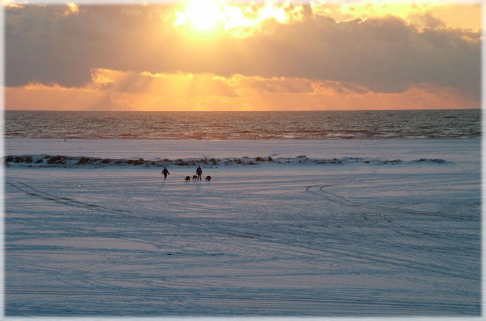 All photos copyright &copy; Eric Francis. All rights reserved.