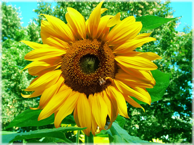 All photos copyright &copy; Eric Francis. All rights reserved.