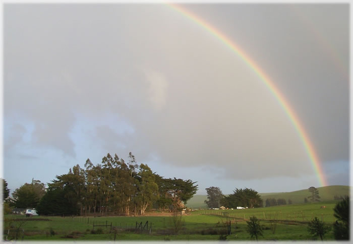 All photos copyright &copy; Eric Francis. All rights reserved.