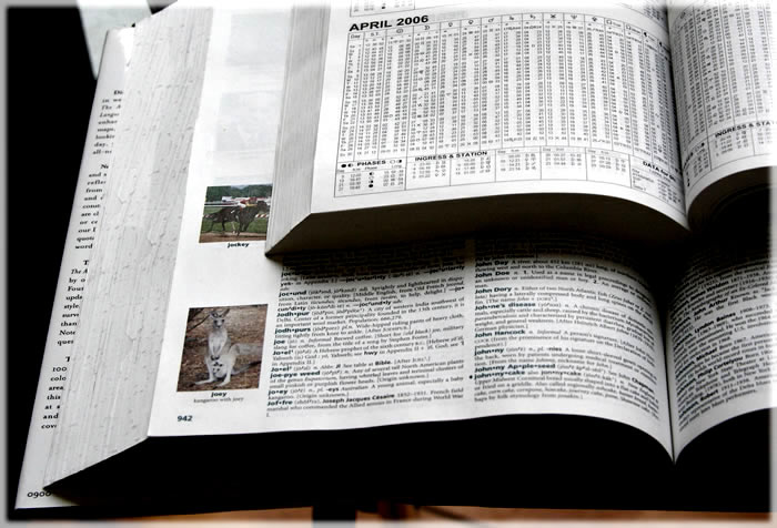 All photos copyright &copy; Eric Francis. All rights reserved.