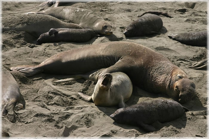 All photos copyright &copy; Eric Francis. All rights reserved.