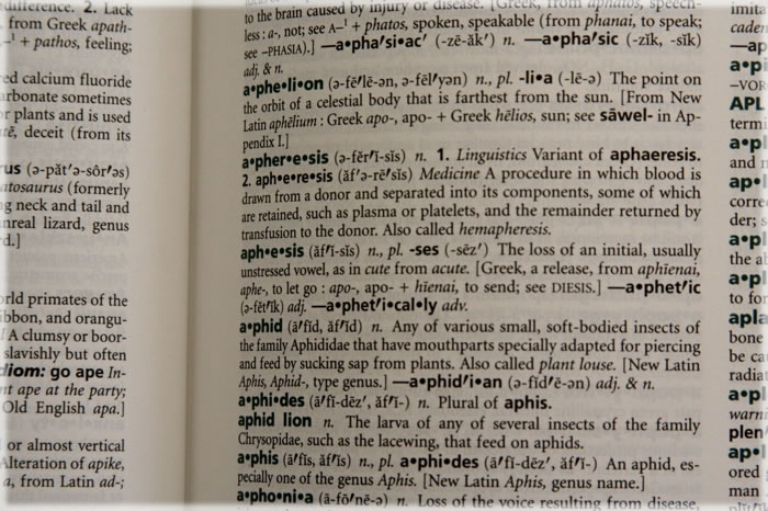 All photos copyright &copy; Eric Francis. All rights reserved.