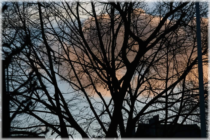 All photos copyright © Eric Francis. All rights reserved.