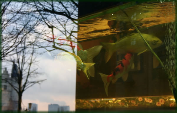 All photos copyright © Eric Francis. All rights reserved.