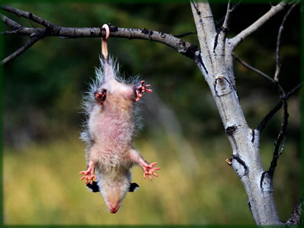 All photos copyright © Eric Francis. All rights reserved.