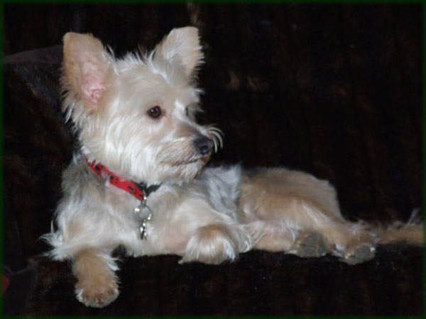 All photos copyright © Eric Francis. All rights reserved.