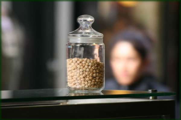 All photos copyright © Eric Francis. All rights reserved.