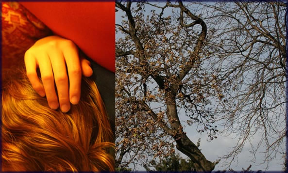 All photos copyright &copy; Eric Francis. All rights reserved.