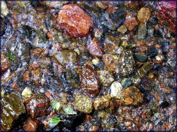 All photos copyright &copy; Eric Francis. All rights reserved.