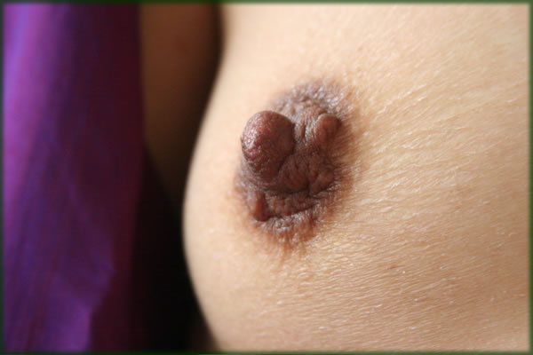 All photos copyright &copy; Eric Francis. All rights reserved.