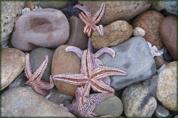 All photos copyright &copy; Eric Francis. All rights reserved.