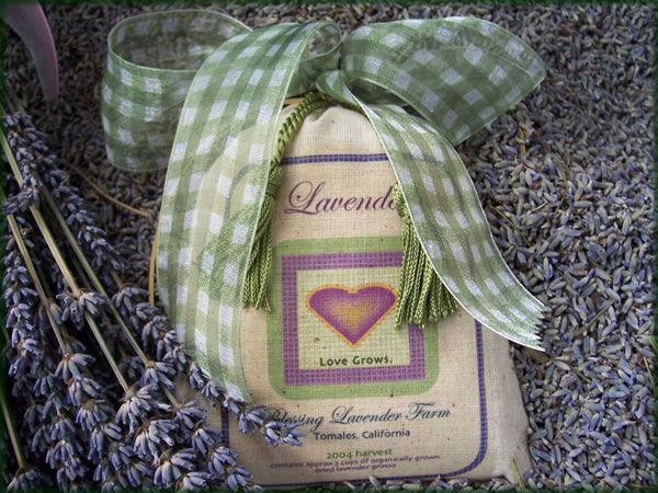 All photos copyright &copy; Eric Francis. All rights reserved.