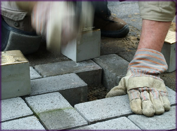 All photos copyright &copy; Eric Francis. All rights reserved.