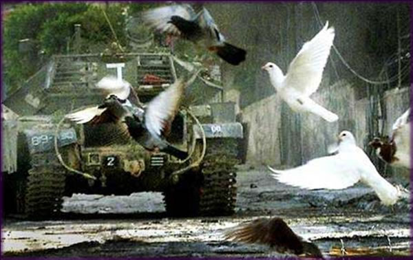 All photos copyright &copy; Eric Francis. All rights reserved.