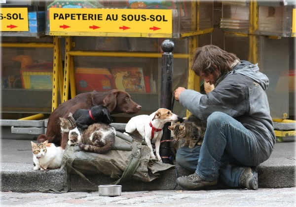 All photos copyright &copy; Eric Francis. All rights reserved.