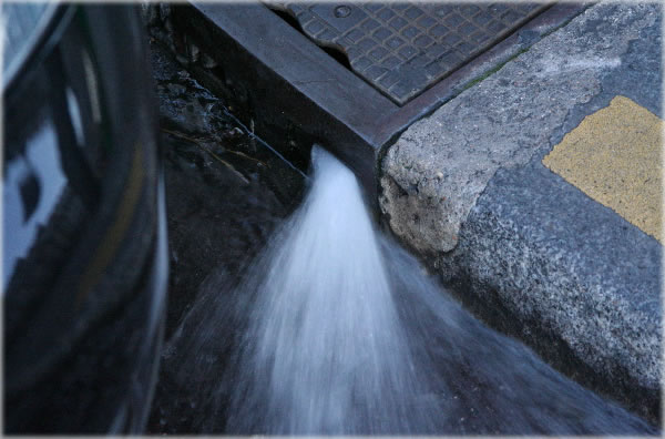 All photos copyright &copy; Eric Francis. All rights reserved.