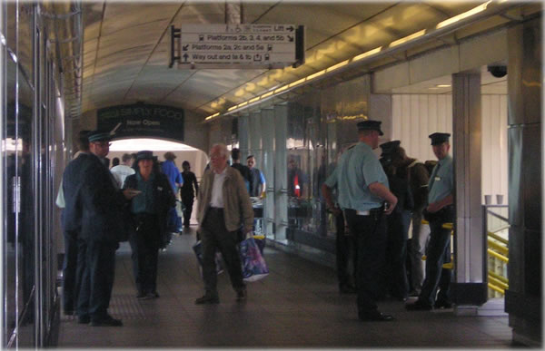 All photos copyright &copy; Eric Francis. All rights reserved.