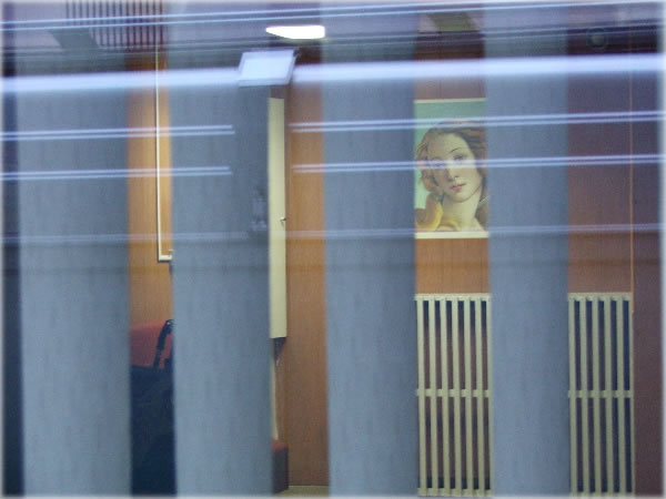 All photos copyright &copy; Eric Francis. All rights reserved.