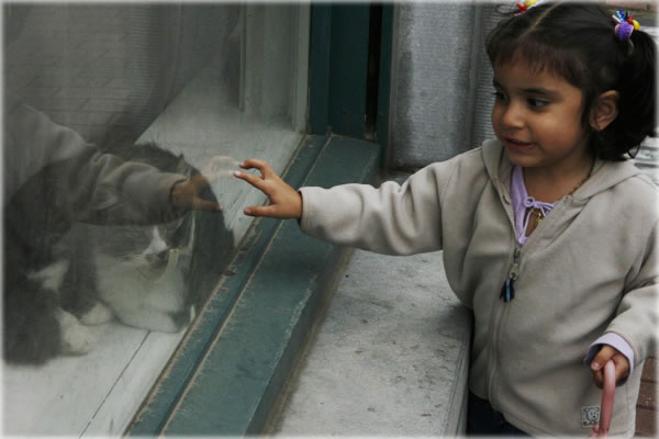 All photos copyright &copy; Eric Francis. All rights reserved.