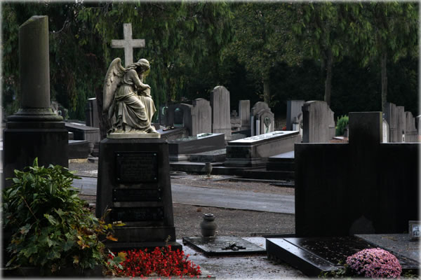 All photos copyright &copy; Eric Francis. All rights reserved.