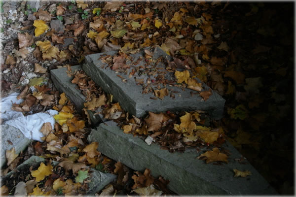 All photos copyright &copy; Eric Francis. All rights reserved.