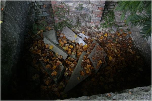 All photos copyright &copy; Eric Francis. All rights reserved.