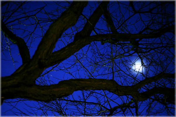 All photos copyright &copy; Eric Francis. All rights reserved.