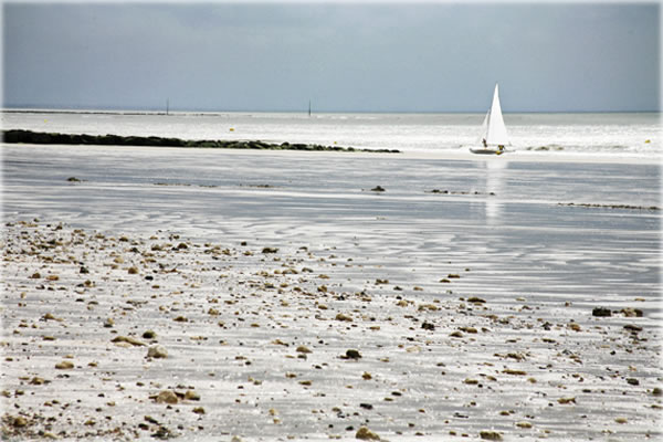 All photos copyright © Eric Francis. All rights reserved.