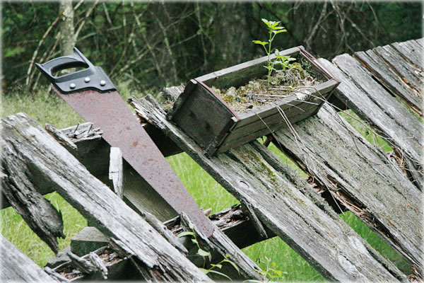 All photos copyright &copy; Eric Francis. All rights reserved.