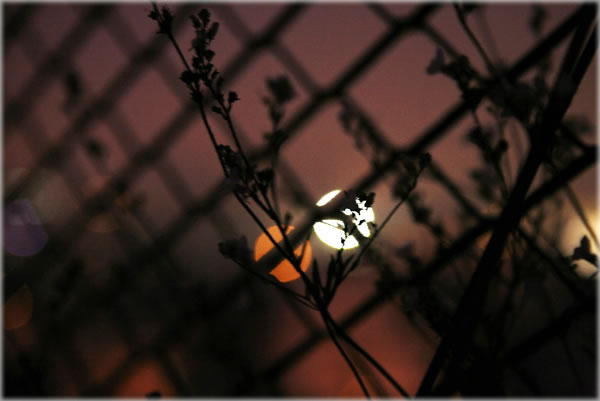 All photos copyright &copy; Eric Francis. All rights reserved.