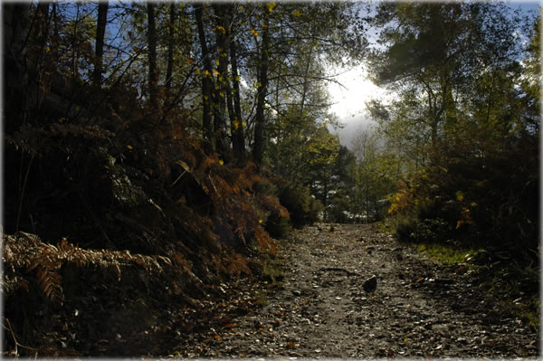 All photos copyright &copy; Eric Francis. All rights reserved.