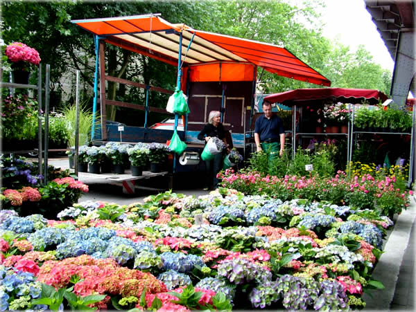 All photos copyright &copy; Eric Francis. All rights reserved.