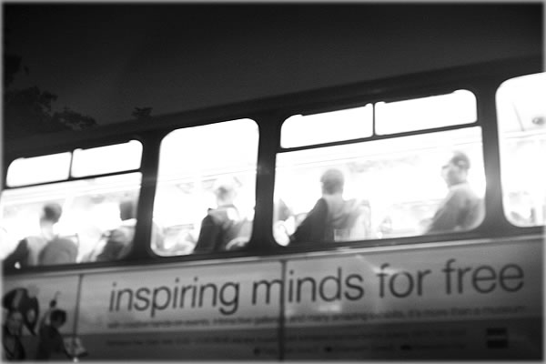 All photos copyright &copy; Eric Francis. All rights reserved.